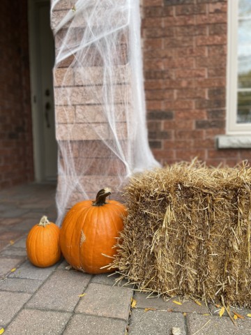 Halloween Favourites 2025 Lifestyle Image #1 - Halloween Favourites from 2025 posted on 2025-10-13.