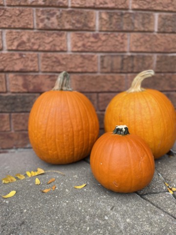 Halloween Favourites 2025 Lifestyle Image #5 - Halloween Favourites from 2025 posted on 2025-10-13.